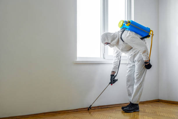 Professional Pest Control in Cementon, PA